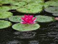 DSC00364.jpg