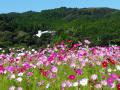 DSC00398.jpg