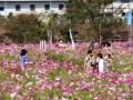 DSC00419.jpg