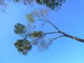 RIMG0002_20121007175244.jpg