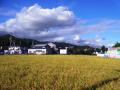RIMG0016_20120817233341.jpg