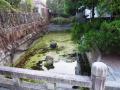 RIMG0044_20130114175830.jpg