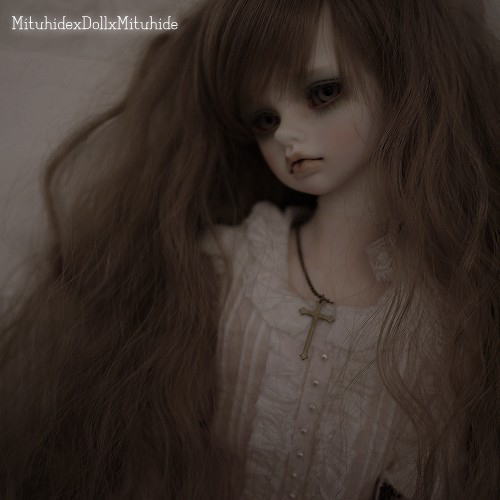 20120830101.jpg
