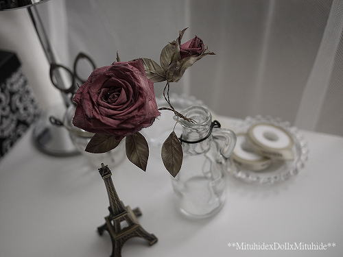 2012090201.jpg