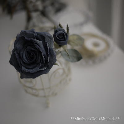 2012090206.jpg