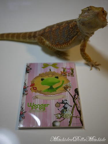 2012093006.jpg