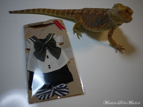 2012093009.jpg