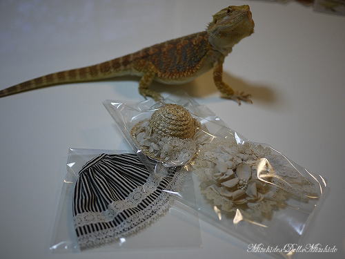 2012093010.jpg
