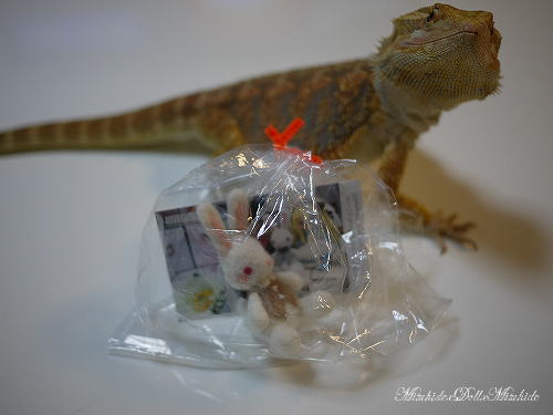 2012093013.jpg
