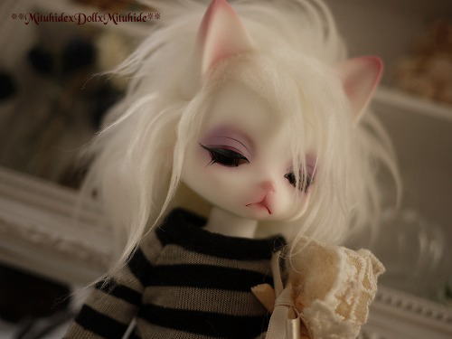 2012102606.jpg