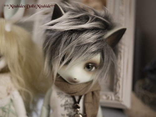 2012102607.jpg