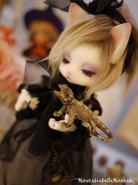2012103002.jpg