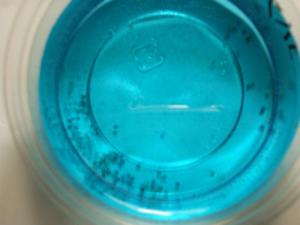 DSCF1053.jpg