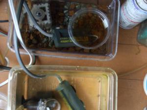 DSCF1152.jpg