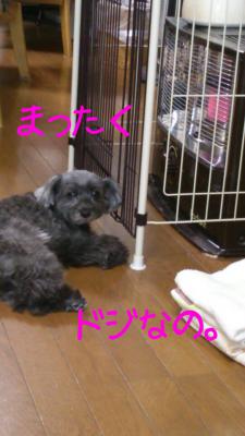20121222231435.jpg