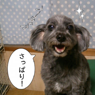 20121230185024851.png