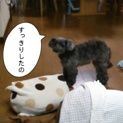 20121230203147717.png
