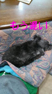 2012125112428.jpg