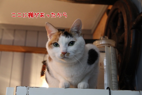 たな