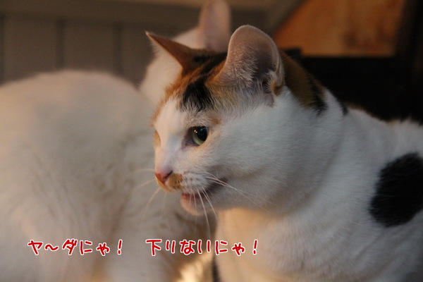 やだ