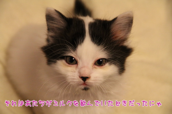 それはあたち