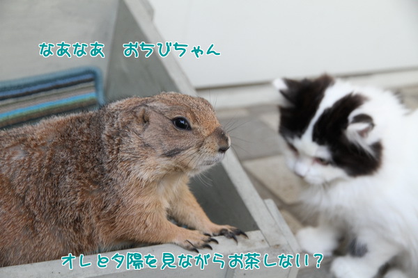 なあなあ おちびちゃん