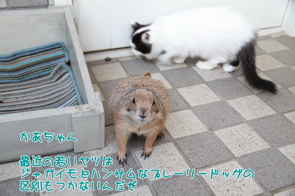 最近の若いヤツ