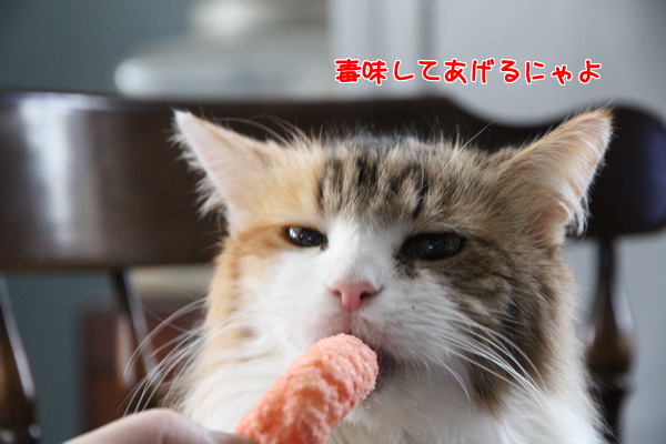 毒味してあげるにゃよ