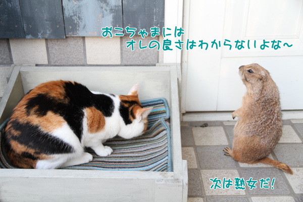 おこちゃまにはオレの良さはわからないよな~