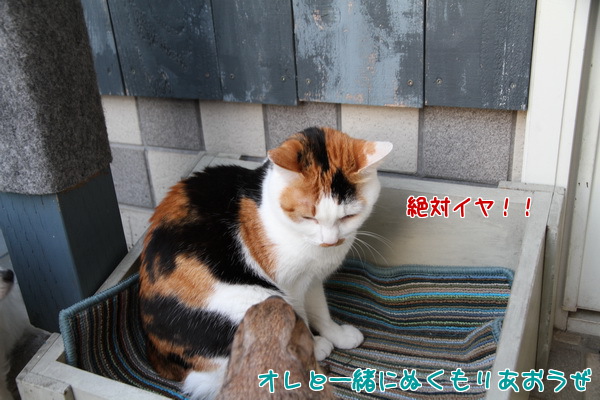 オレと一緒に