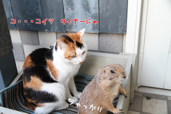 ちゃっかり