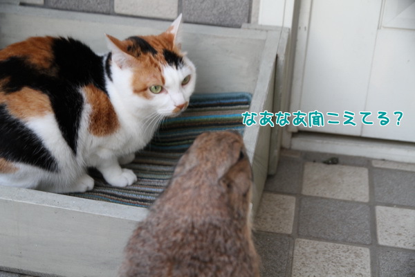 なあなあ聞こえてる