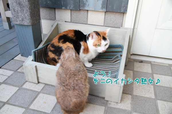 よう