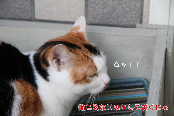 聞こえないふり