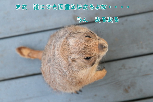 うん あるある
