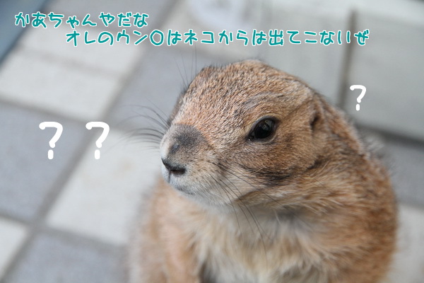かあちゃんやだな