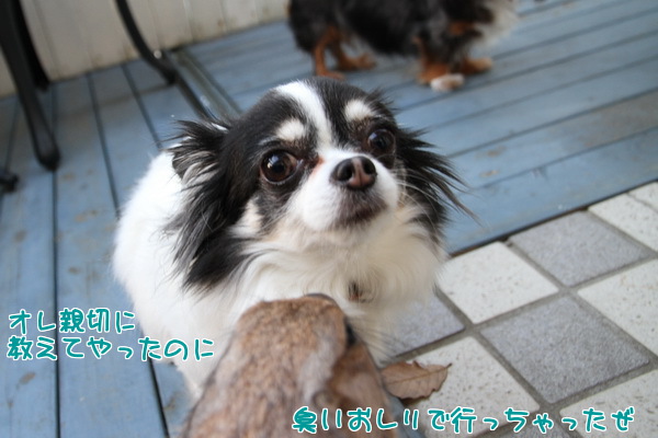 臭いおしり