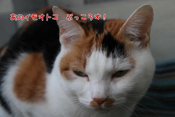 あのイモオトコ
