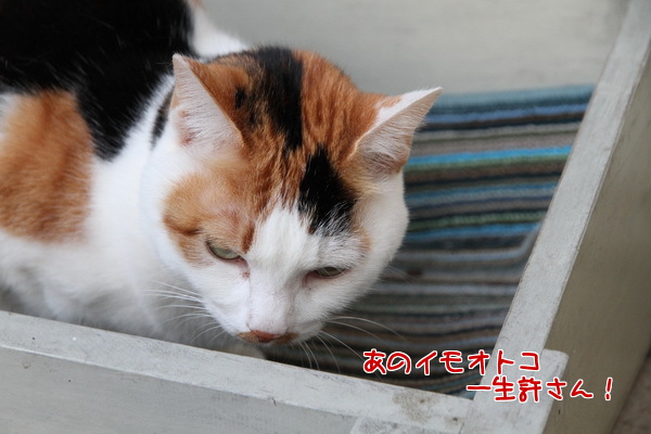 一生許さん