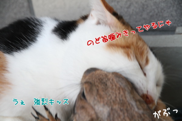 のど笛
