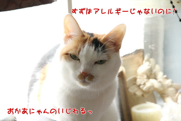 アレルギー