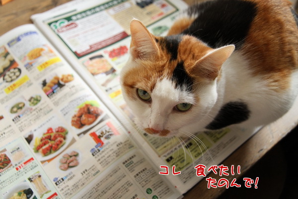 これたのんで