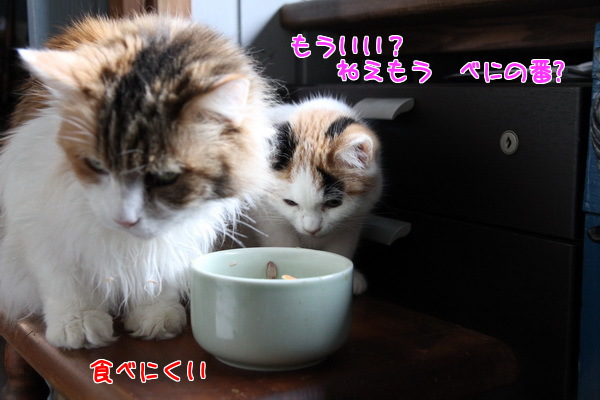 食べにくい