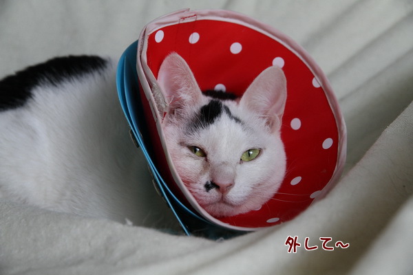 はずして