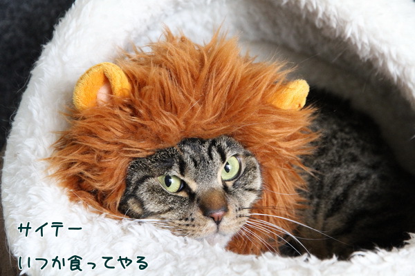 いつか