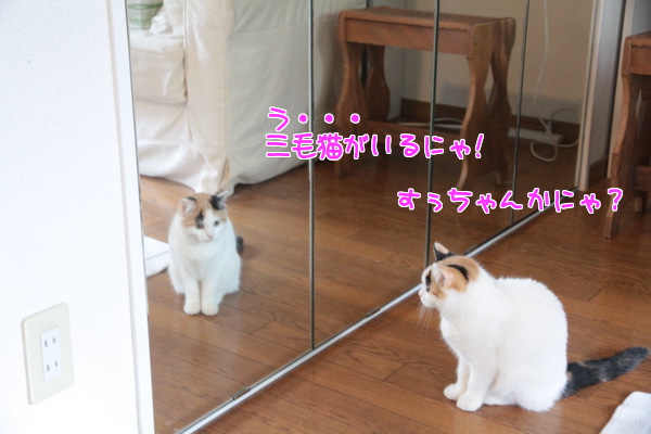 う