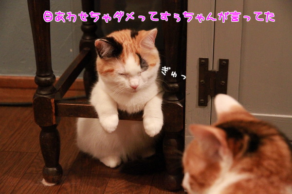 目