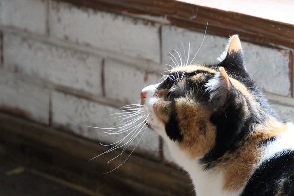 IMG_4139_20130411142727.jpg