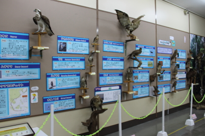 鹿児島県立博物館