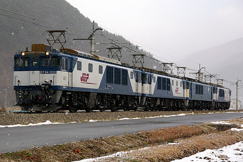 IMGP1124.jpg
